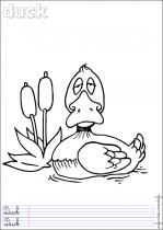 coloriage-canard-1